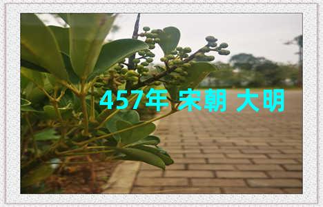 457年 宋朝 大明